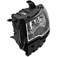 Driver Side Headlight, with Bulb, Halogen, Clear Lens
