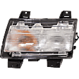 Driver Side Parking Light, With bulb(s)