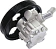 Power Steering Pump, 6 Cyl., 3.8L Engine, with Seal Kit