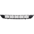 Front, Lower Bumper Grille, Textured