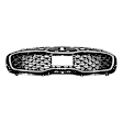 Grille Painted Black