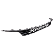 Grille Assembly, Grille