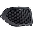 Front, Driver Side Fog Light Cover, Textured Black
