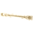 Rear Bumper Reinforcement, Plastic
