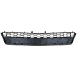 Lower Bumper Grille, Black, 6 Cyl., 3.5L Engine