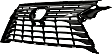Grille Assembly, Dark Gray Shell and Insert, Base Model, 6 Cyl., 3.5L Engine