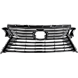 Grille Assembly, Dark Gray Shell and Insert, Base Model, 6 Cyl., 3.5L Engine