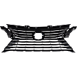 Grille Assembly, Dark Gray Shell and Insert, Base Model, 6 Cyl., 3.5L Engine