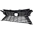Grille Assembly, Dark Gray Shell and Insert, Base Model, 6 Cyl., 3.5L Engine