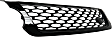 Grille Assembly, Gloss Black Shell and Insert, SVR Model, 8 Cyl., 5.0L Engine