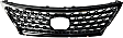 Grille, Chrome Shell with Painted Gray Insert, 8 Cyl., 4.6L Engine