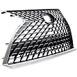 Grille Assembly, Chrome Shell with Painted Dark Gray Insert, Base Model, 6 Cyl., 3.5L Engine