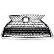 Grille Assembly, Chrome Shell with Painted Dark Gray Insert, Base Model, 6 Cyl., 3.5L Engine