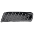 Front, Driver Side, Upper Fog Light Trim, Textured Black