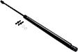 2000 Lexus LS400 - Driver and Passenger Side Lift Support Hood, Sedan
