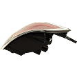 Driver Side Back Up Light, with Bulb, Halogen, 8 Cyl., 4.6L Engine