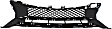 Front, Center Bumper Grille, Textured Black
