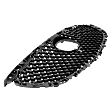 Grille, Painted Black Shell and Insert, 4 Cyl., 2.5L Engine, CAPA Certified
