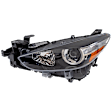 Driver Side Headlight, with Bulb, Halogen, Clear Lens