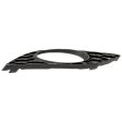 Front, Driver Side Fog Light Trim, Textured Black