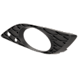 Front, Driver Side Fog Light Trim, Textured Black