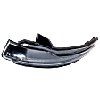 Passenger Side Mirror Turn Signal Light