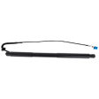 Passenger Side Liftgate, Sport Utility