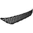 Front Bumper Grille, Black
