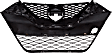 Grille, Black, 6 Cyl., 3.5L Engine