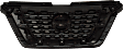Grille, Textured Black, 4 Cyl., 1.6L Engine