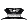 Grille, 6 Cyl., 3.5L Engine