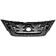 Grille, Black, 6 Cyl., 3.5L Engine