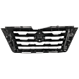 Grille, Painted Black