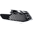 Grille, Painted Black