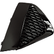 Front, Passenger Side Fog Light Cover, Black, 6 Cyl., 3.5L Engine