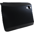Front, Driver Side Door Panel