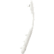 Rear, Driver Side Bumper Bracket, Bumper Side Bracket