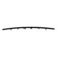Rear, Center Bumper Trim, Black, With Midnight Special Edition Package