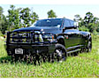 FBD105BLRS Grille Guard, Powdercoated Black Steel