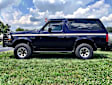 FBF921BLR Grille Guard, Powdercoated Black Carbon Steel