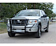 2006 Ford F-150 - Legend Series, Grille Guard, Powdercoated Black, Steel