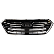 Grille Assembly, Painted Black Shell with Silver Insert