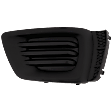 Front, Driver Side Fog Light Cover, Textured Black, 4 Cyl., 2.0L Engine