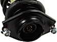 Rear, Driver or Passenger Side Fully Loaded Strut, 4 Cyl., 2.0L Engine