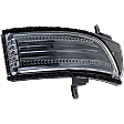 Passenger Side Mirror Turn Signal Light