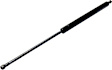2012 Scion xB - Driver or Passenger Side Lift Support Liftgate