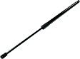Driver or Passenger Side Liftgate Lift Support, 6 Cyl., 3.6L Engine