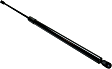 Driver or Passenger Side Liftgate Lift Support, 6 Cyl., 3.6L Engine