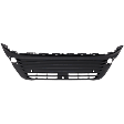 Front, Lower Bumper Grille, Textured Black, 4 Cyl., 2.5L Engine