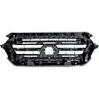 Grille, Paint to Match, Limited Model, For Models with Front Emblem, without Nightshade Edition